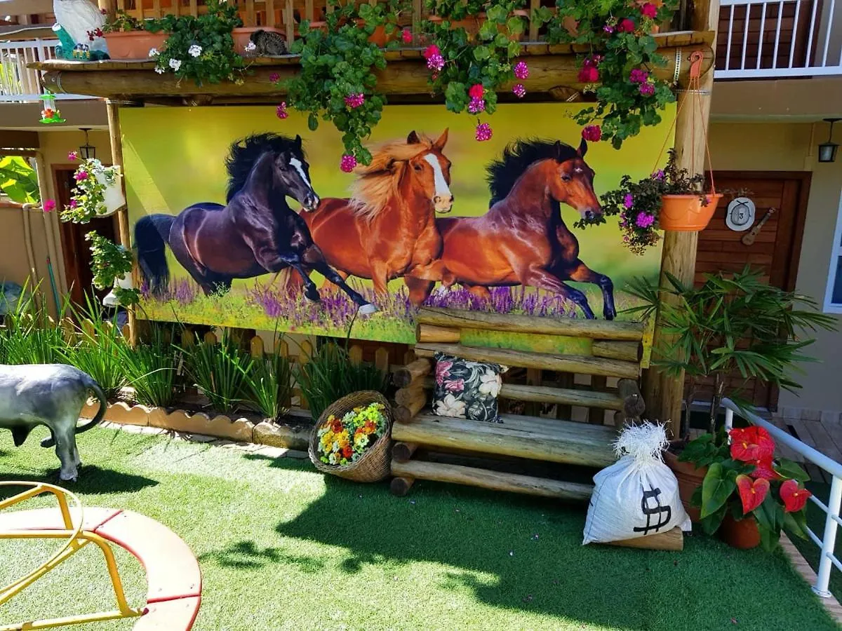 Pousada Alegria Do Cowboy Penha  Inn